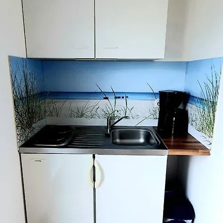 Strandlaeufer Darsser Weg Zingst