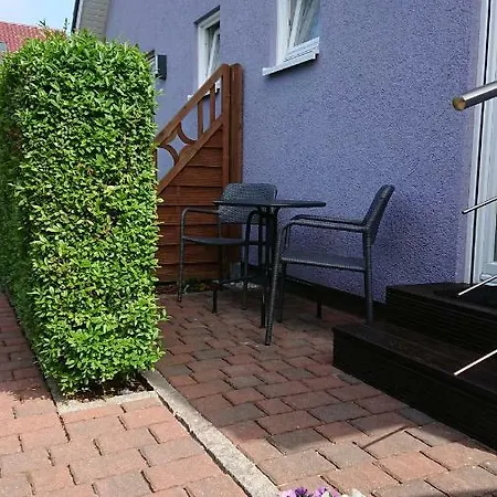 Strandlaeufer Darsser Weg ツィングシュト